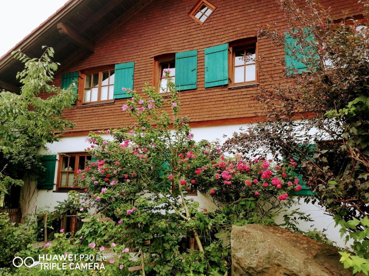 Alpenstyle Mit Suedbalkon In Geisteier's Hues Apartment